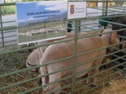 phoca_thumb_l_fotosnoviembre2012 2142